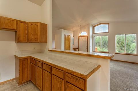 2885 County Road 72 Rd, Bailey, CO 80421 photo 13