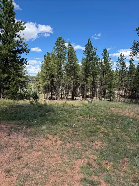 1396 Roberts Ranch Rd, Woodland Park, CO 80863