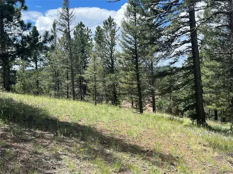 31 Pike View Cir, Divide, CO 80814 photo 8