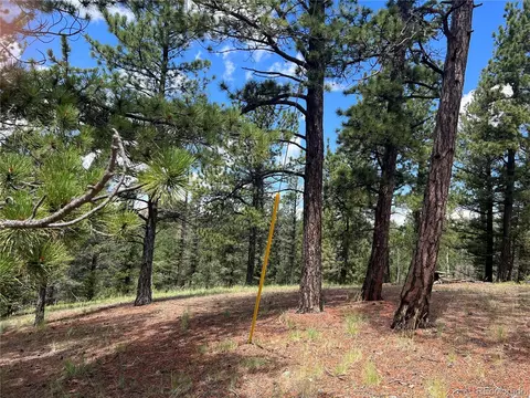 31 Pike View Cir, Divide, CO 80814 photo 6