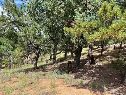 31 Pike View Cir, Divide, CO 80814 photo 3