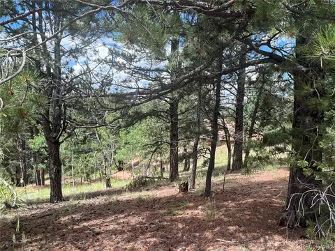31 Pike View Cir, Divide, CO 80814 photo 5