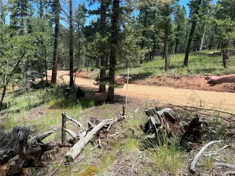 31 Pike View Cir, Divide, CO 80814 photo 10