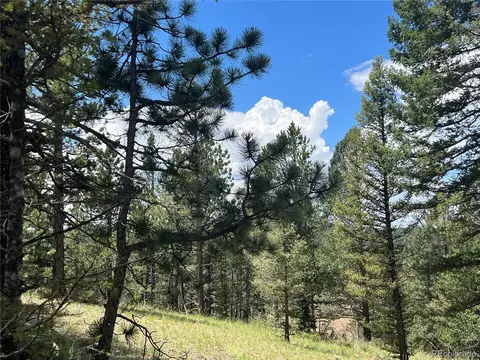 31 Pike View Cir, Divide, CO 80814 photo 9