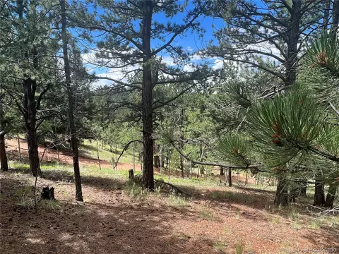 31 Pike View Cir, Divide, CO 80814 photo 4