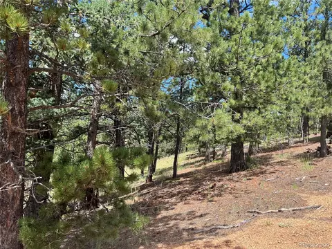 31 Pike View Cir, Divide, CO 80814 photo 7