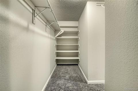 16096 Double Eagle Dr #C, Morrison, CO 80465 photo 30