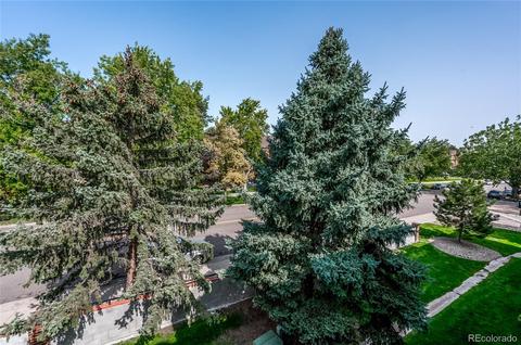418 Wright St #303, Lakewood, CO 80228 photo 22