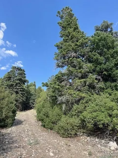 314 Arrastre Rd, Mosca, CO 81146 photo 14