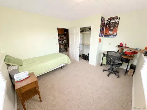 Other - 242 E Blarney Stone Rd, Howard, CO 81233 photo 7 of 15