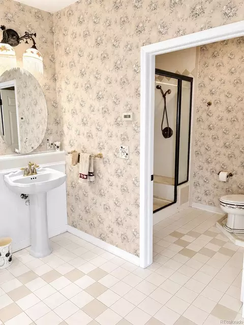 Bath - 242 E Blarney Stone Rd, Howard, CO 81233 photo 1 of 5