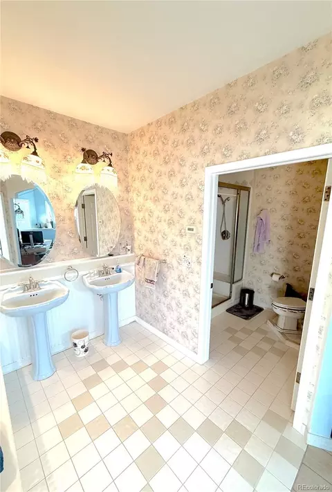 Bath - 242 E Blarney Stone Rd, Howard, CO 81233 photo 2 of 3