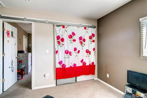 10650 Durango Pl, Longmont, CO 80504 photo 13