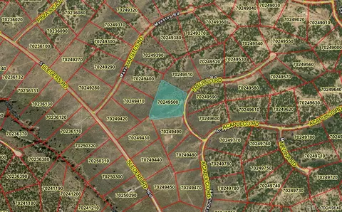 lot2125 Trujillo Rd, Fort Garland, CO 81133