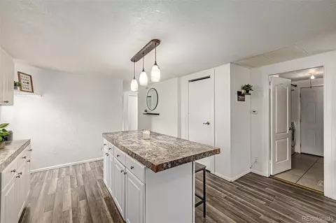 5139 E 96th Pl, Denver, CO 80229 photo 15