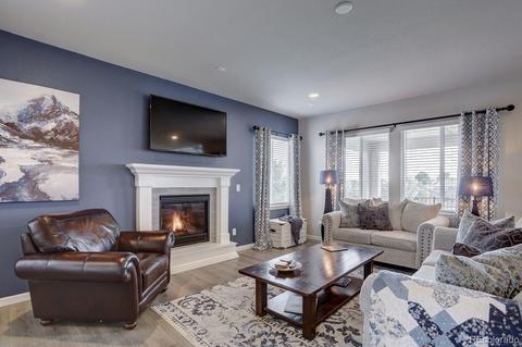 6990 E 132nd Pl, Thornton, CO 80602 photo 5