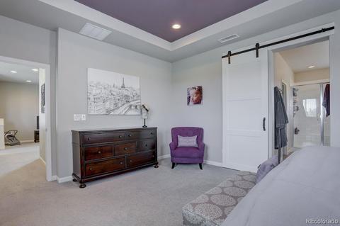6990 E 132nd Pl, Thornton, CO 80602 photo 19