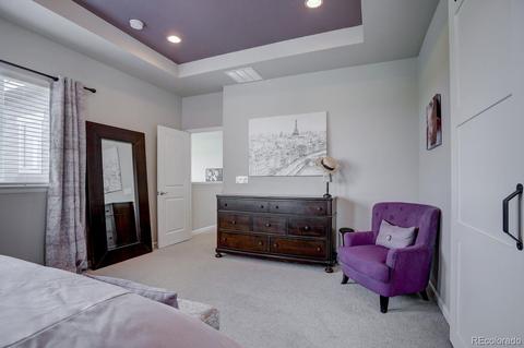 6990 E 132nd Pl, Thornton, CO 80602 photo 20