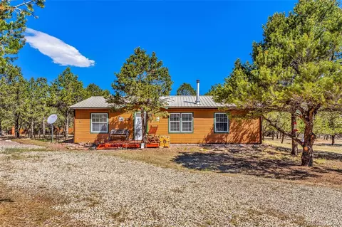 1576 I Path, Cotopaxi, CO 81223 photo 2