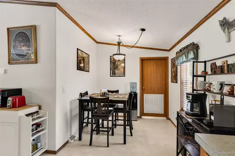 1576 I Path, Cotopaxi, CO 81223 photo 18