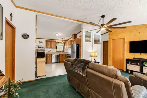 1576 I Path, Cotopaxi, CO 81223 photo 7