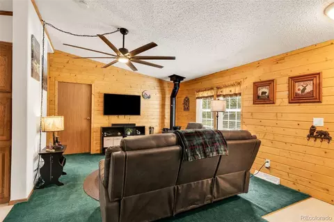 1576 I Path, Cotopaxi, CO 81223 photo 9