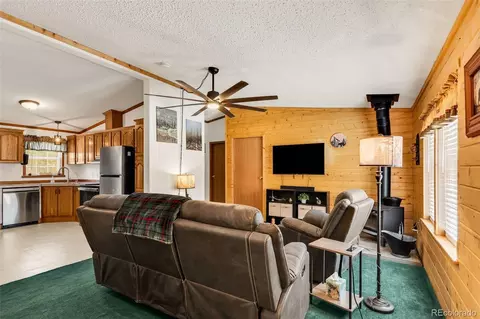 1576 I Path, Cotopaxi, CO 81223 photo 8