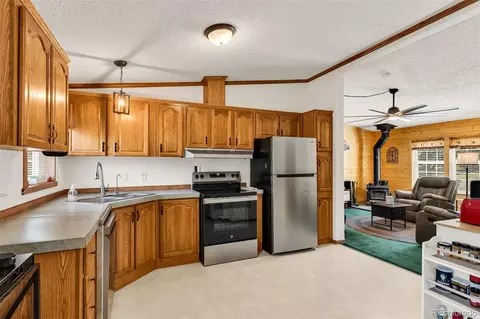 1576 I Path, Cotopaxi, CO 81223 photo 17