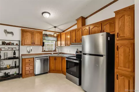 1576 I Path, Cotopaxi, CO 81223 photo 16