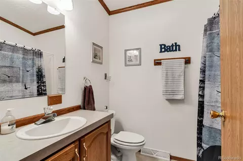 1576 I Path, Cotopaxi, CO 81223 photo 22