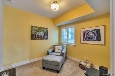 7953 E 49th Pl, Denver, CO 80238 photo 15