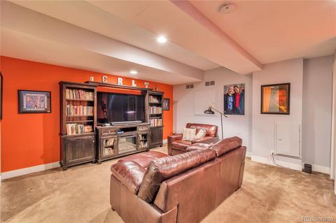 7953 E 49th Pl, Denver, CO 80238 photo 19