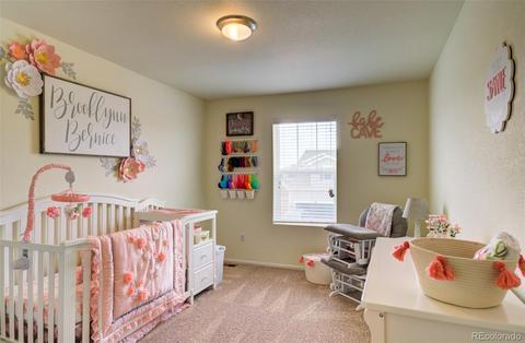 2742 E 161st Pl, Thornton, CO 80602 photo 16