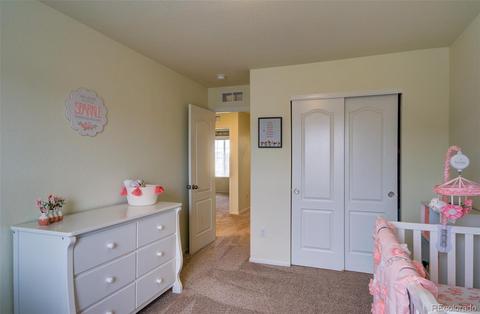 2742 E 161st Pl, Thornton, CO 80602 photo 17