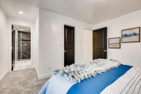 2870 Eudora St, Denver, CO 80207 photo 15