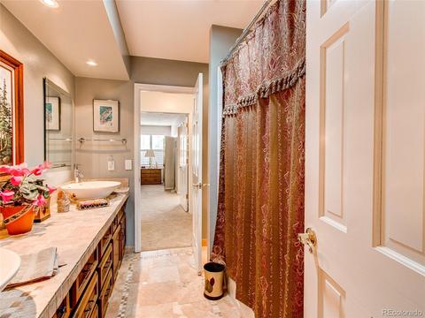 7347 S Steele Cir, Centennial, CO 80122 photo 17