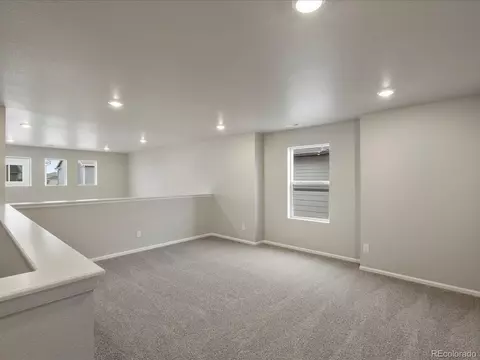 17618 E 90th Pl, Commerce City, CO 80022 photo 22