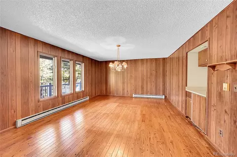 348 Nova Rd, Pine, CO 80470 photo 21