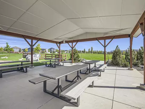 2143 Bouquet Dr, Windsor, CO 80550 photo 48