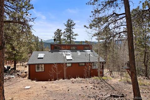 618 Burton St, Bailey, CO 80421 photo 16