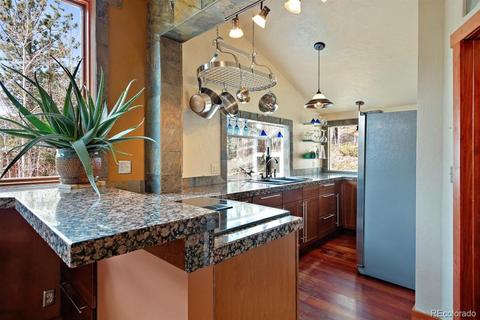 618 Burton St, Bailey, CO 80421 photo 9