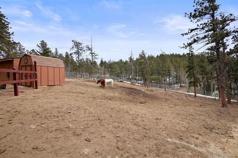 618 Burton St, Bailey, CO 80421 photo 23