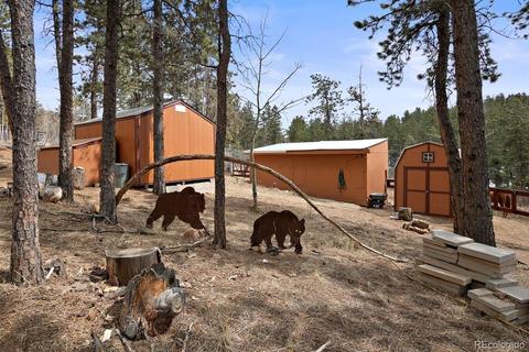 618 Burton St, Bailey, CO 80421 photo 18