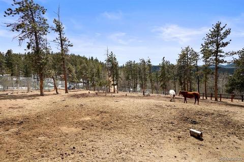618 Burton St, Bailey, CO 80421 photo 22