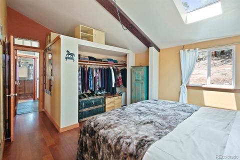 618 Burton St, Bailey, CO 80421 photo 12