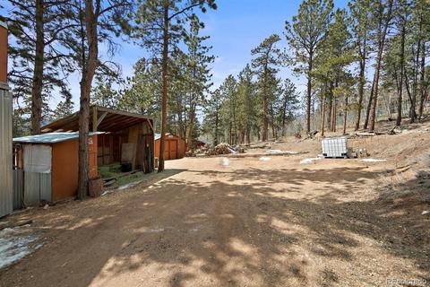 618 Burton St, Bailey, CO 80421 photo 20