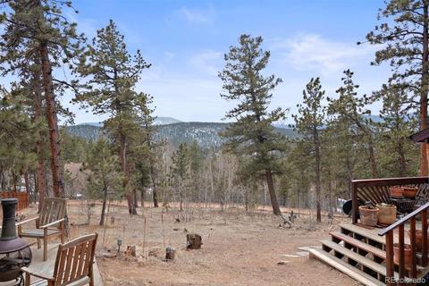618 Burton St, Bailey, CO 80421 photo 24