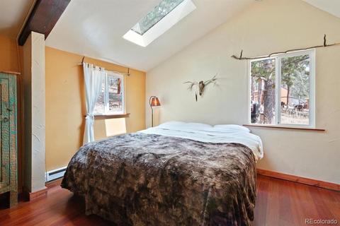 618 Burton St, Bailey, CO 80421 photo 11