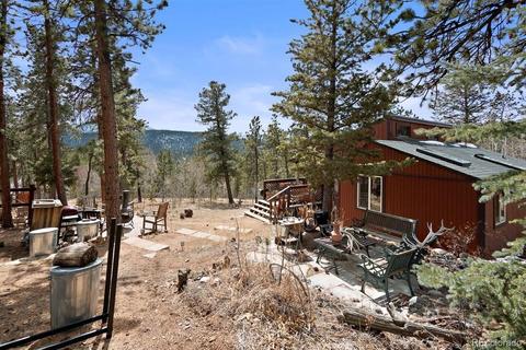 618 Burton St, Bailey, CO 80421 photo 25