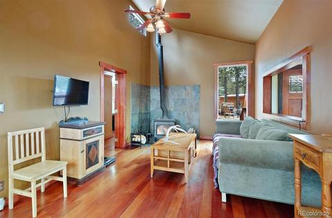 618 Burton St, Bailey, CO 80421 photo 5